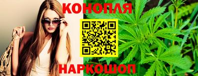 индика Апшеронск