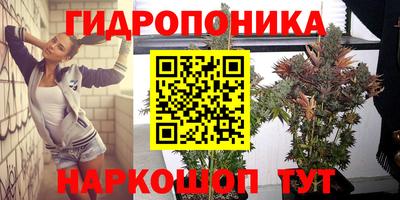 мдпв Аргун