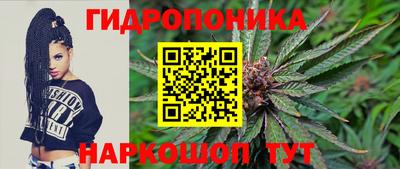 мдпв Аргун