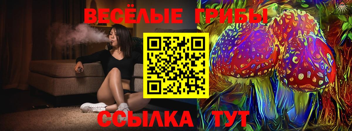 Галлюциногенные грибы мухоморы Артёмовский
