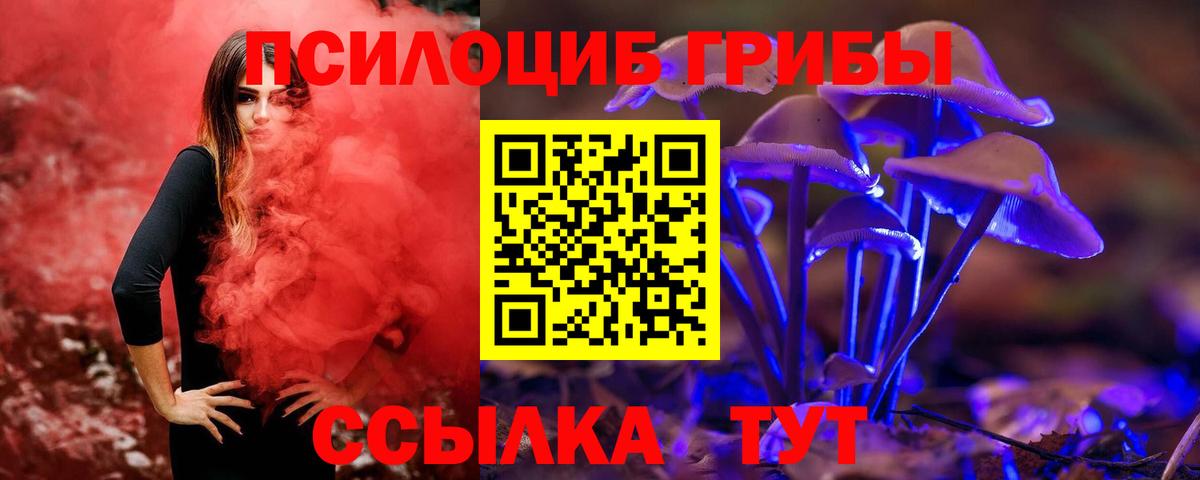 Артёмовский  Галлюциногенные грибы GOLDEN TEACHER  Вход с VPN  купить наркотики сайты  Псилоцибиновые грибы MAGIC MUSHROOMS 